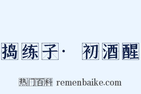 捣练子·初酒醒是什么意思的图片